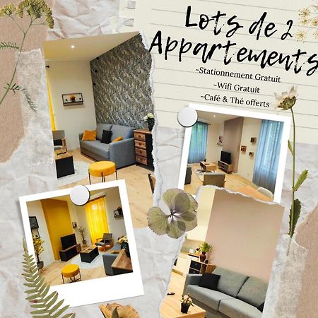 Appartements A Theme كليرمونت-فيراند المظهر الخارجي الصورة